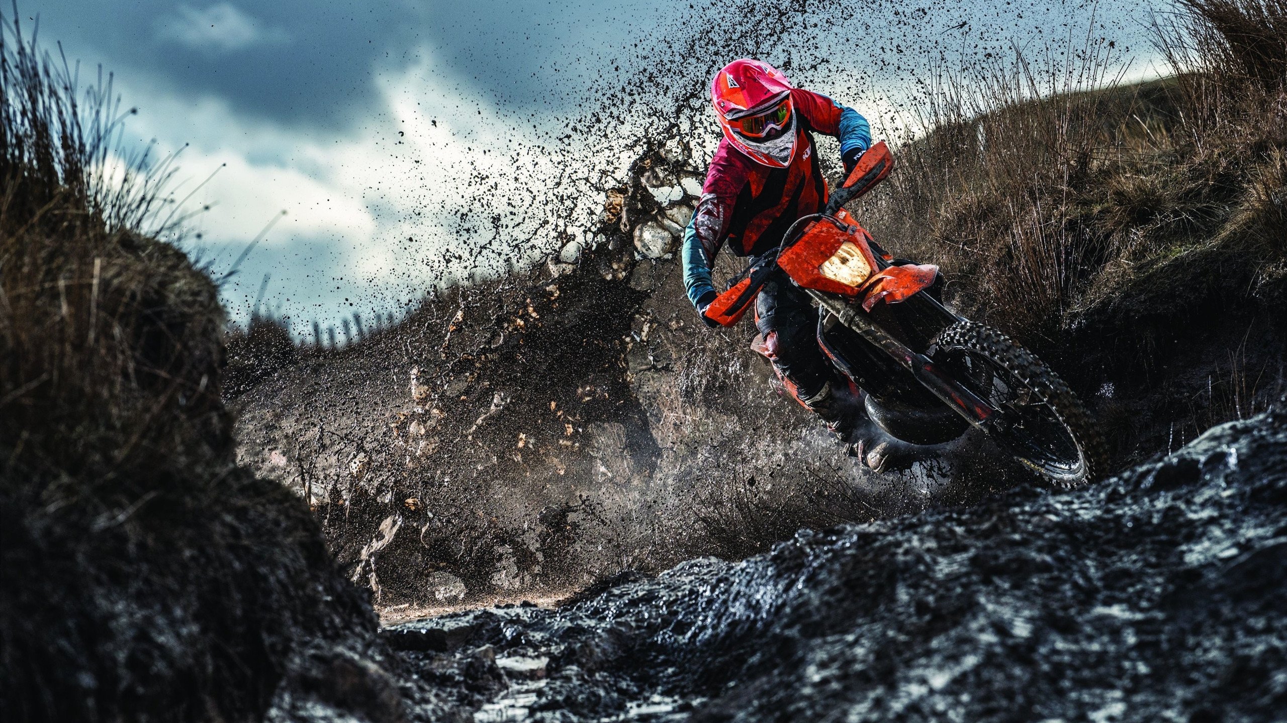 史上最扣人心弦的“冠军争夺战”伟大回忆,冠军争夺赛